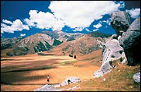 New Zealand Campervan Hire New Zealand Campervan Hire