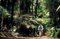New Zealand Motorhome Hire New Zealand Motorhome Hire