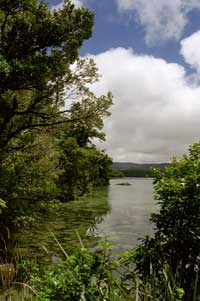 New Zealand Campervan Hire New Zealand Campervan Hire