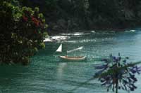 Waiheke Island