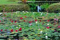 New Zealand Campervan Hire New Zealand Campervan Hire