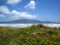 Kapiti Island